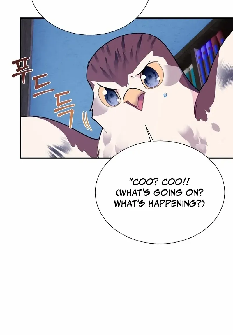 CARRIER FALCON PRINCESS Chapter 115 page 19 - 