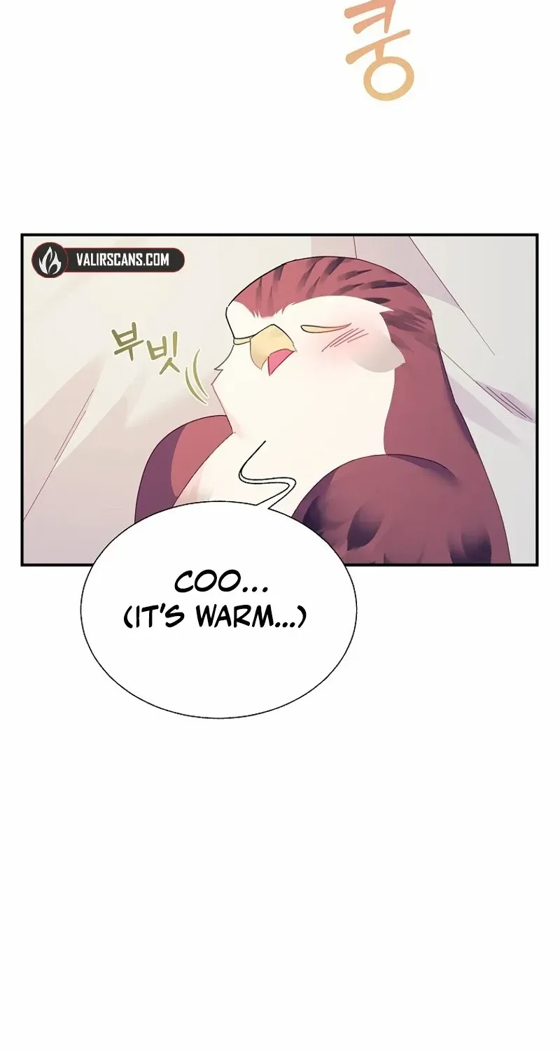 CARRIER FALCON PRINCESS Chapter 116 page 42 - 