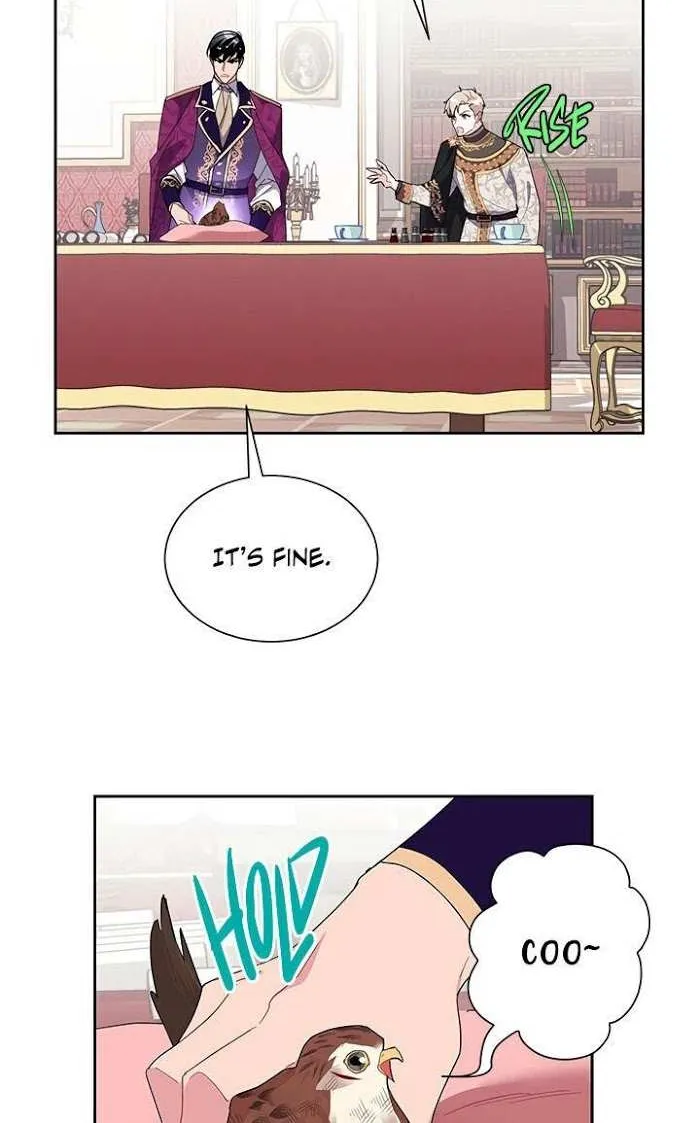 CARRIER FALCON PRINCESS Chapter 12 page 40 - 