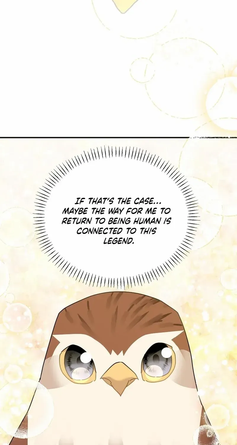 CARRIER FALCON PRINCESS Chapter 122 page 36 - 