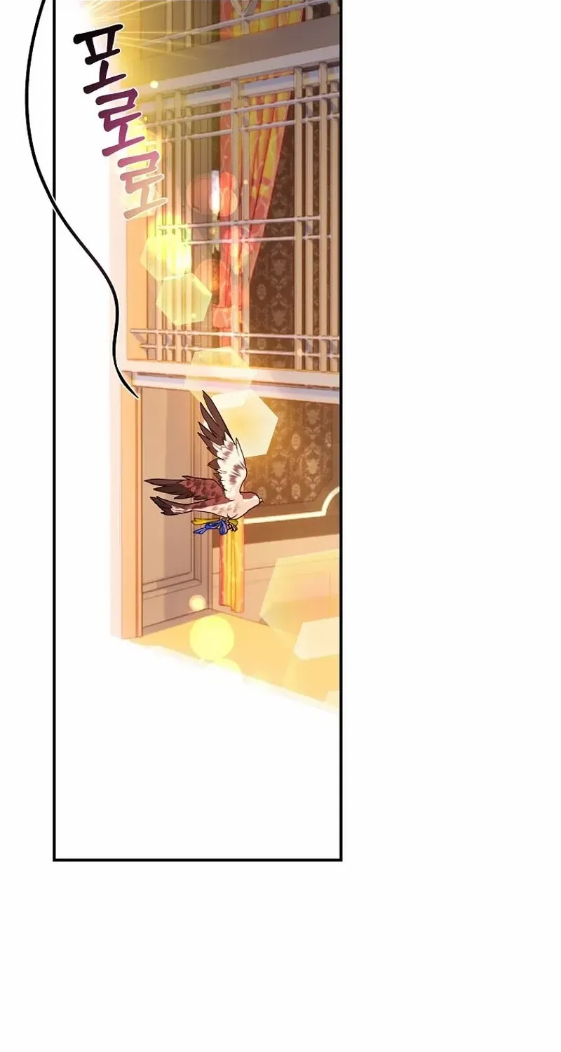 CARRIER FALCON PRINCESS Chapter 122 page 39 - 