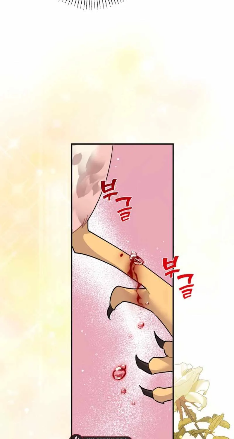 CARRIER FALCON PRINCESS Chapter 125 page 19 - 