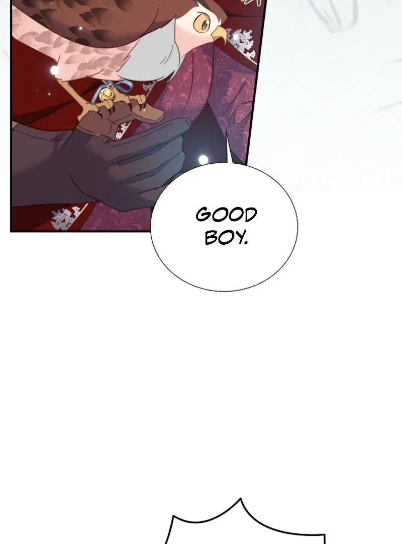 CARRIER FALCON PRINCESS Chapter 128 page 41 - 