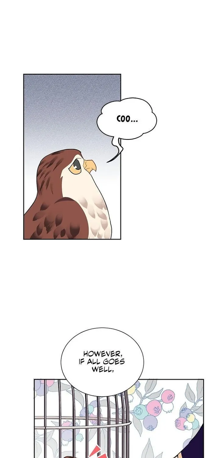 CARRIER FALCON PRINCESS Chapter 13 page 62 - 