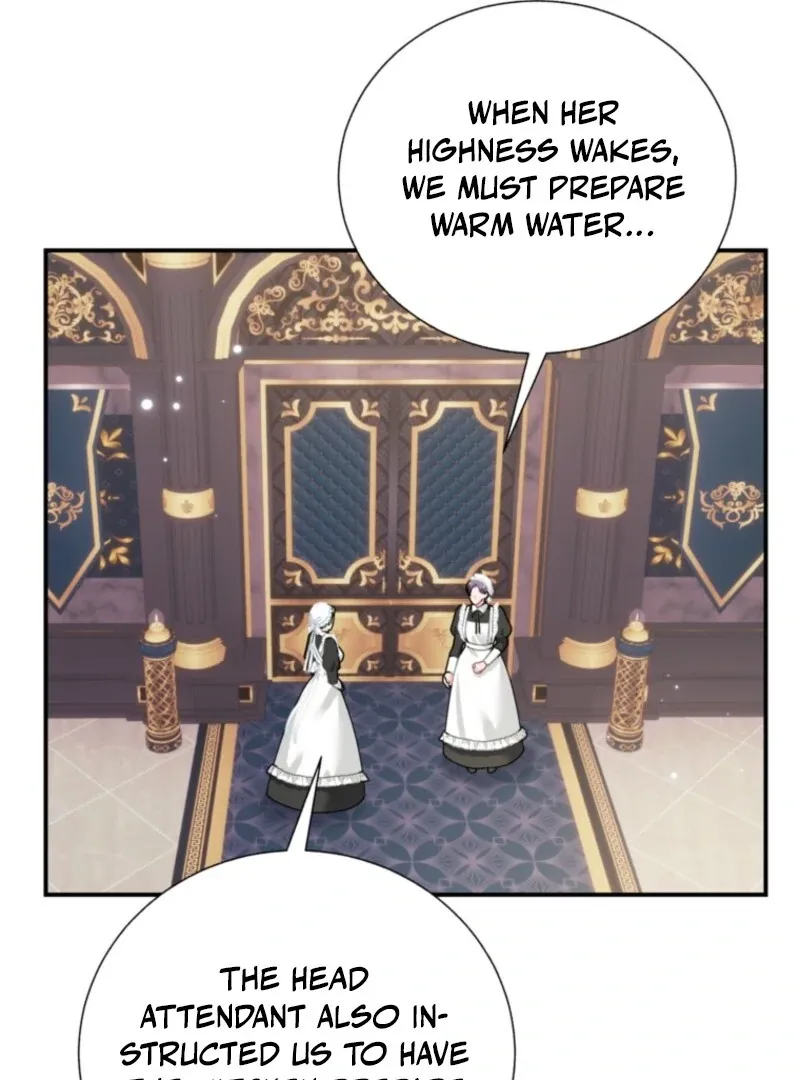 CARRIER FALCON PRINCESS Chapter 133 page 81 - 