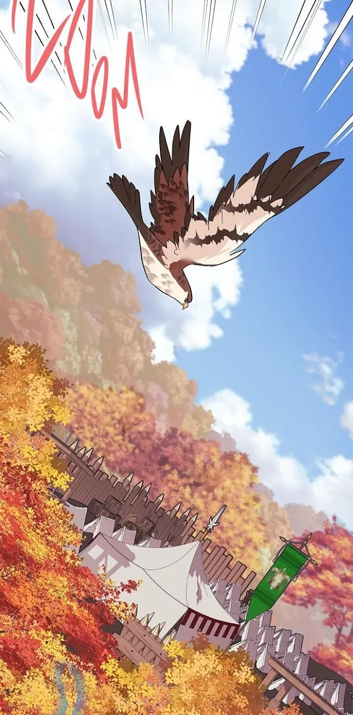 CARRIER FALCON PRINCESS Chapter 14 page 35 - 