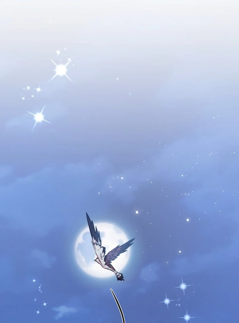 CARRIER FALCON PRINCESS Chapter 145 page 12 - 