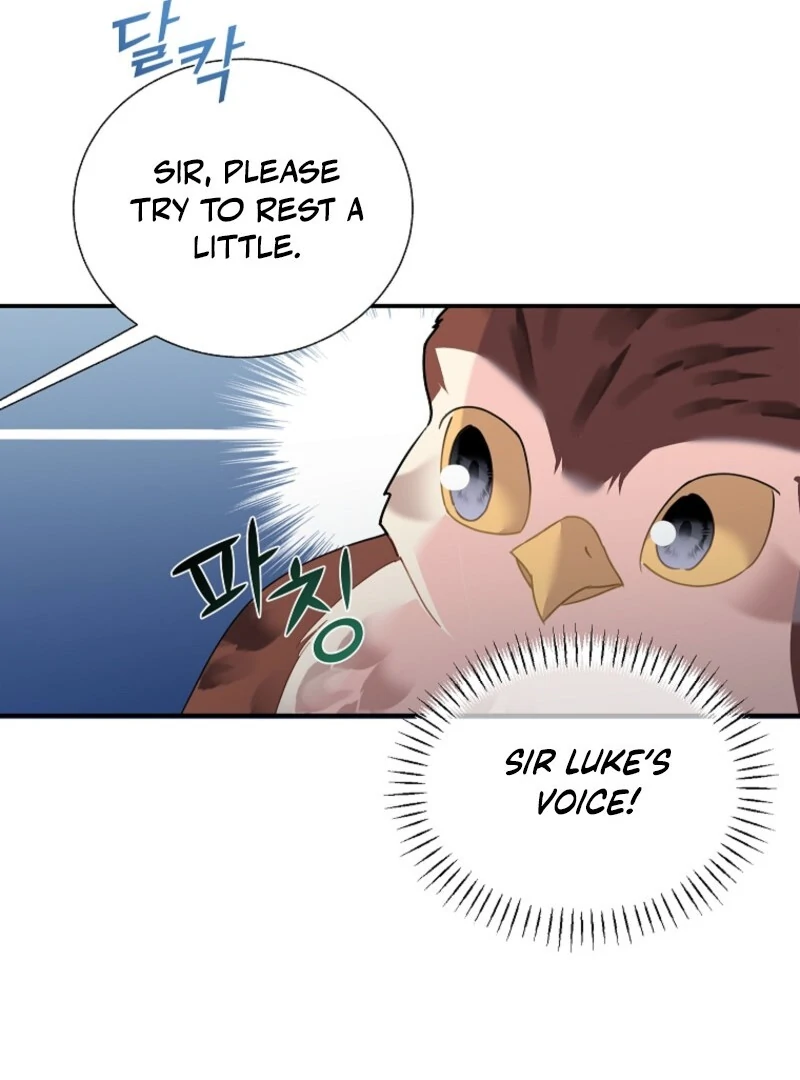 CARRIER FALCON PRINCESS Chapter 145 page 23 - 