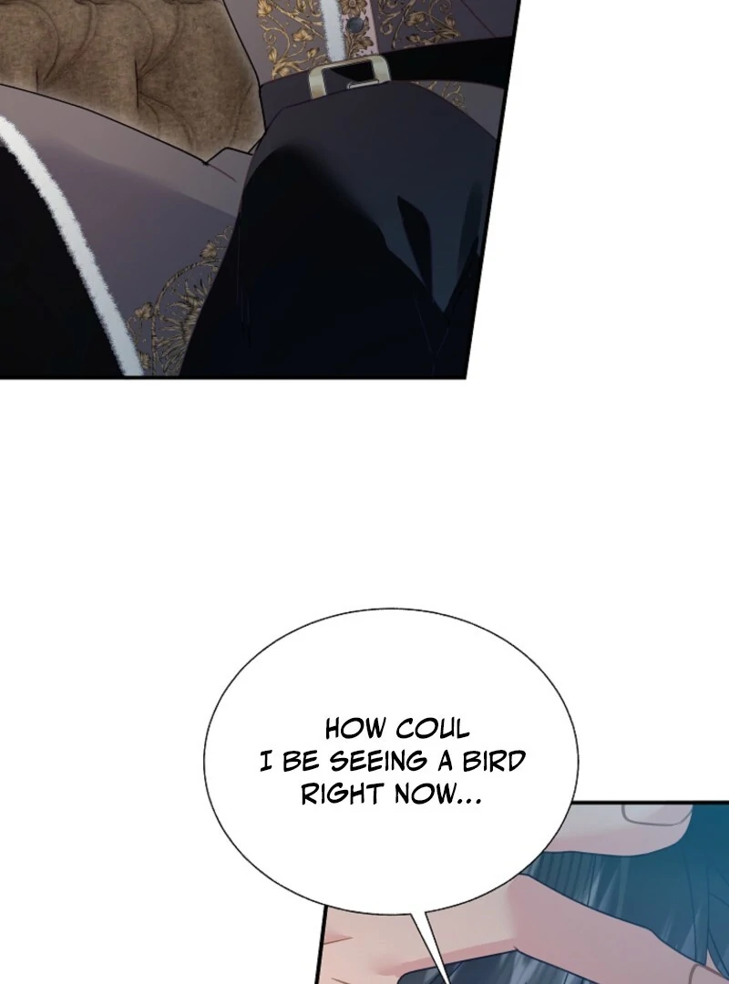 CARRIER FALCON PRINCESS Chapter 145 page 44 - 