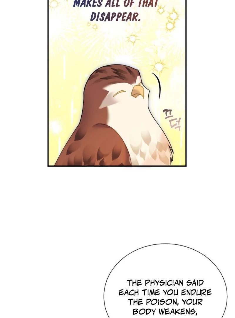 CARRIER FALCON PRINCESS Chapter 145 page 66 - 