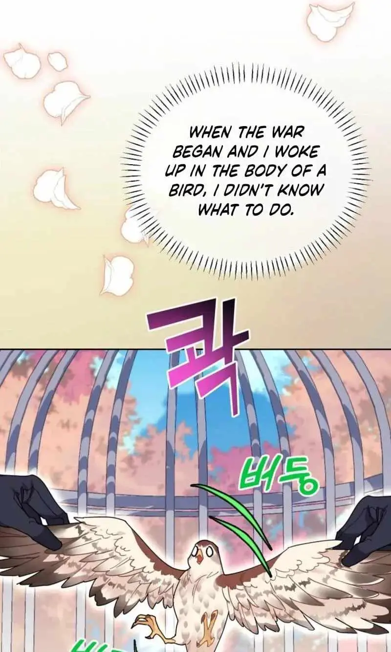CARRIER FALCON PRINCESS Chapter 159 page 74 - 