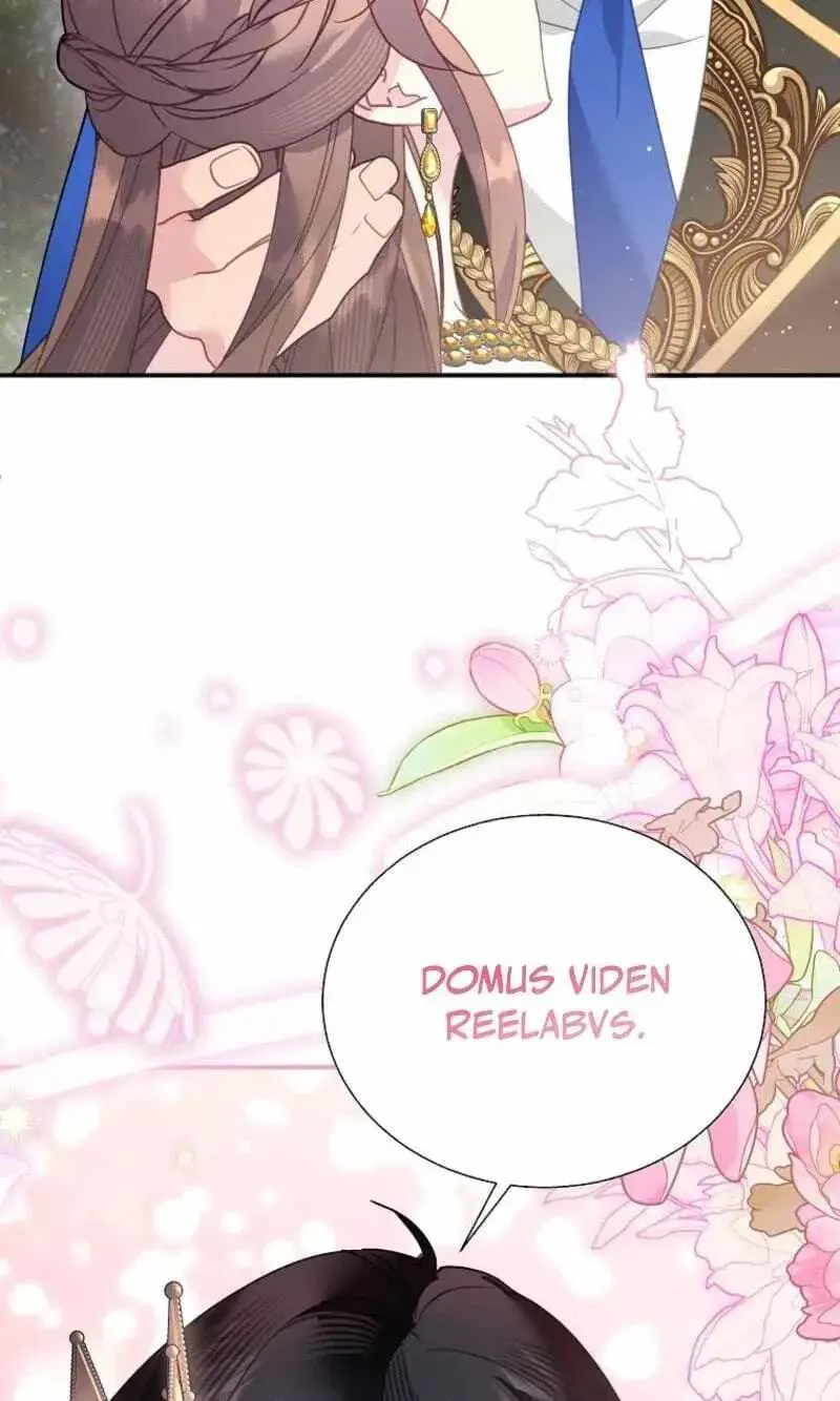 CARRIER FALCON PRINCESS Chapter 159 page 97 - 