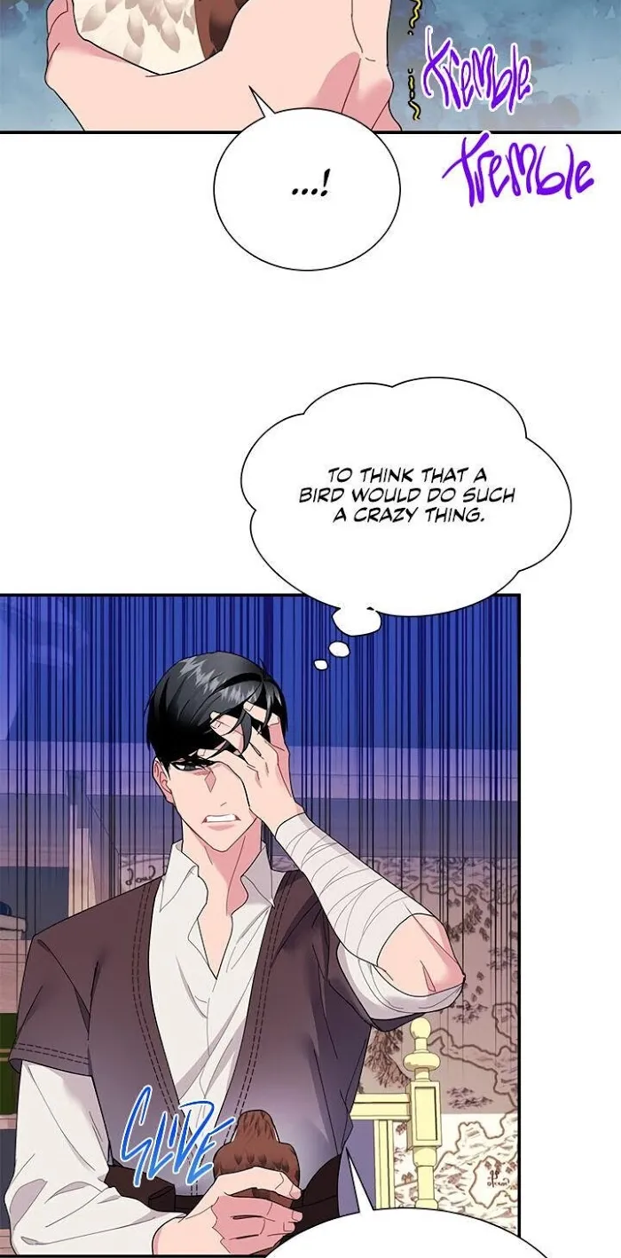 CARRIER FALCON PRINCESS Chapter 18 page 21 - 