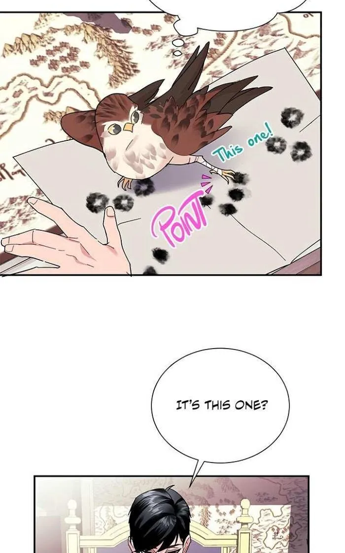 CARRIER FALCON PRINCESS Chapter 18 page 31 - 