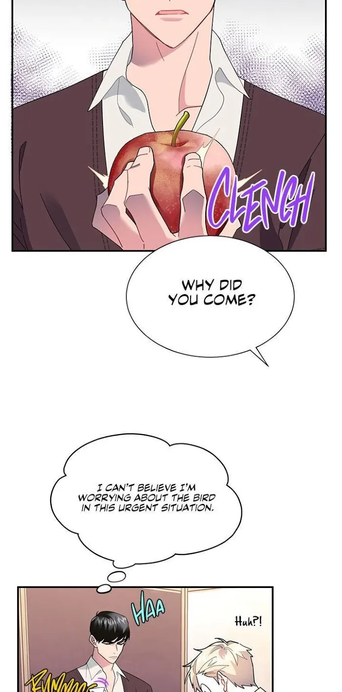 CARRIER FALCON PRINCESS Chapter 19 page 12 - 