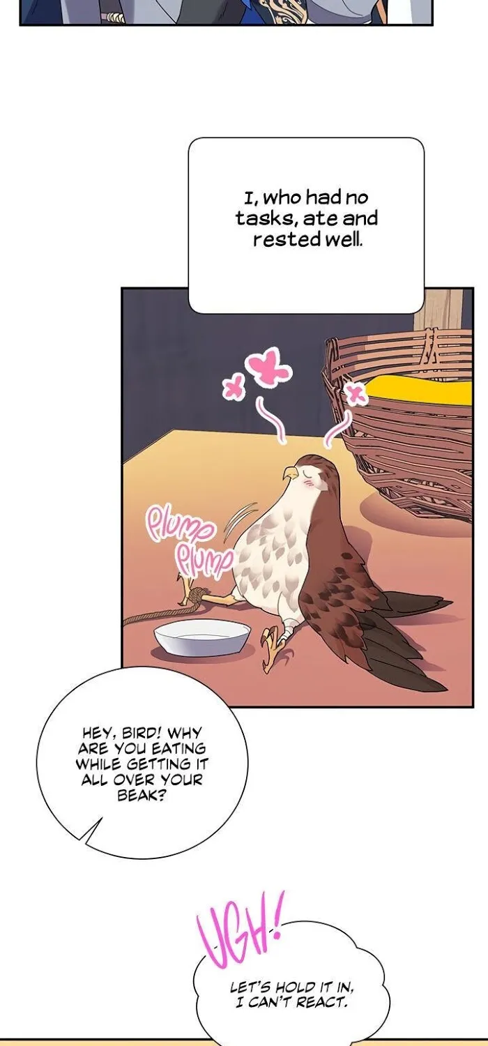 CARRIER FALCON PRINCESS Chapter 19 page 31 - 