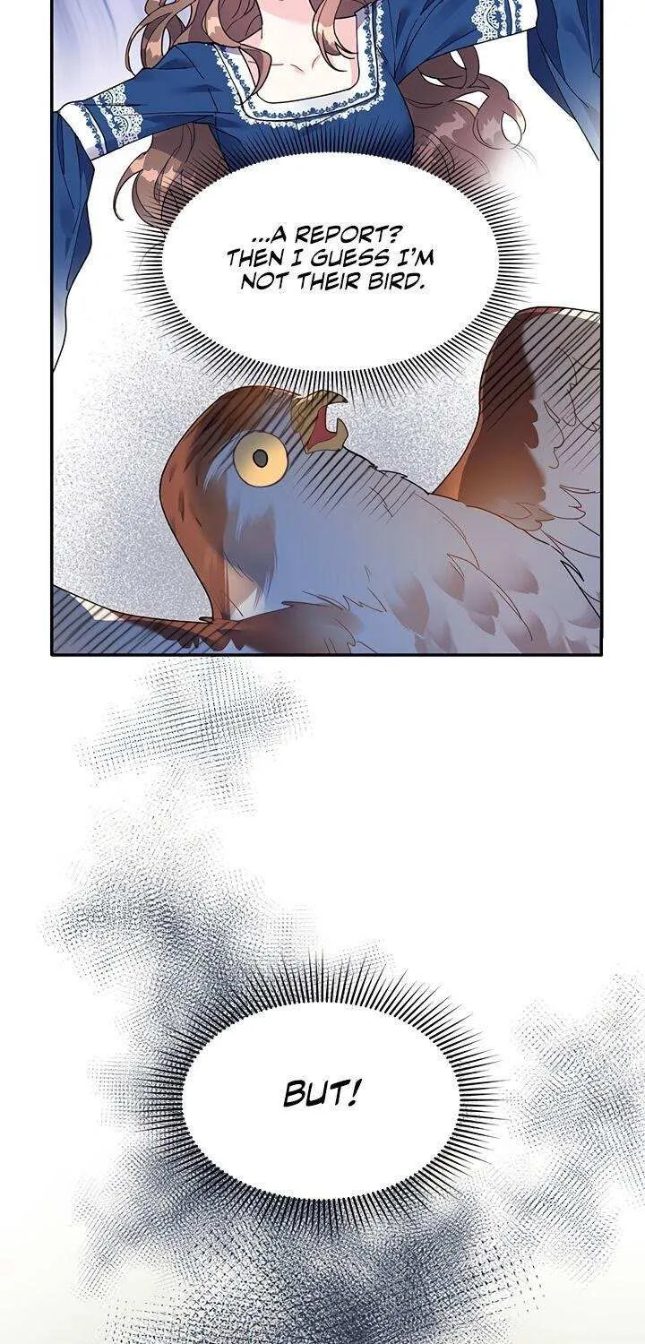 CARRIER FALCON PRINCESS Chapter 2 page 13 - 