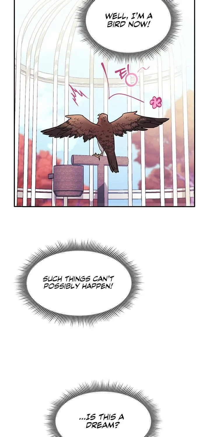 CARRIER FALCON PRINCESS Chapter 2 page 3 - 