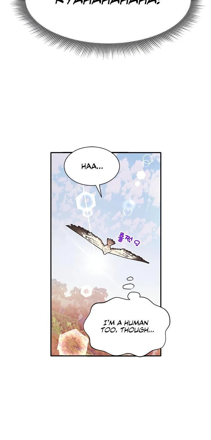 CARRIER FALCON PRINCESS Chapter 2 page 24 - 