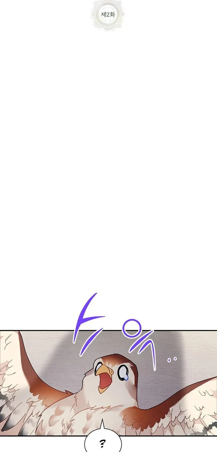CARRIER FALCON PRINCESS Chapter 2 page 9 - 