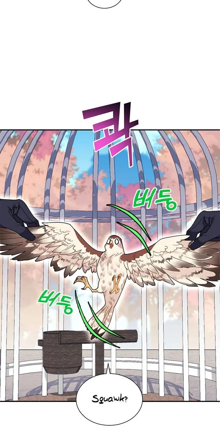 CARRIER FALCON PRINCESS Chapter 2 page 10 - 