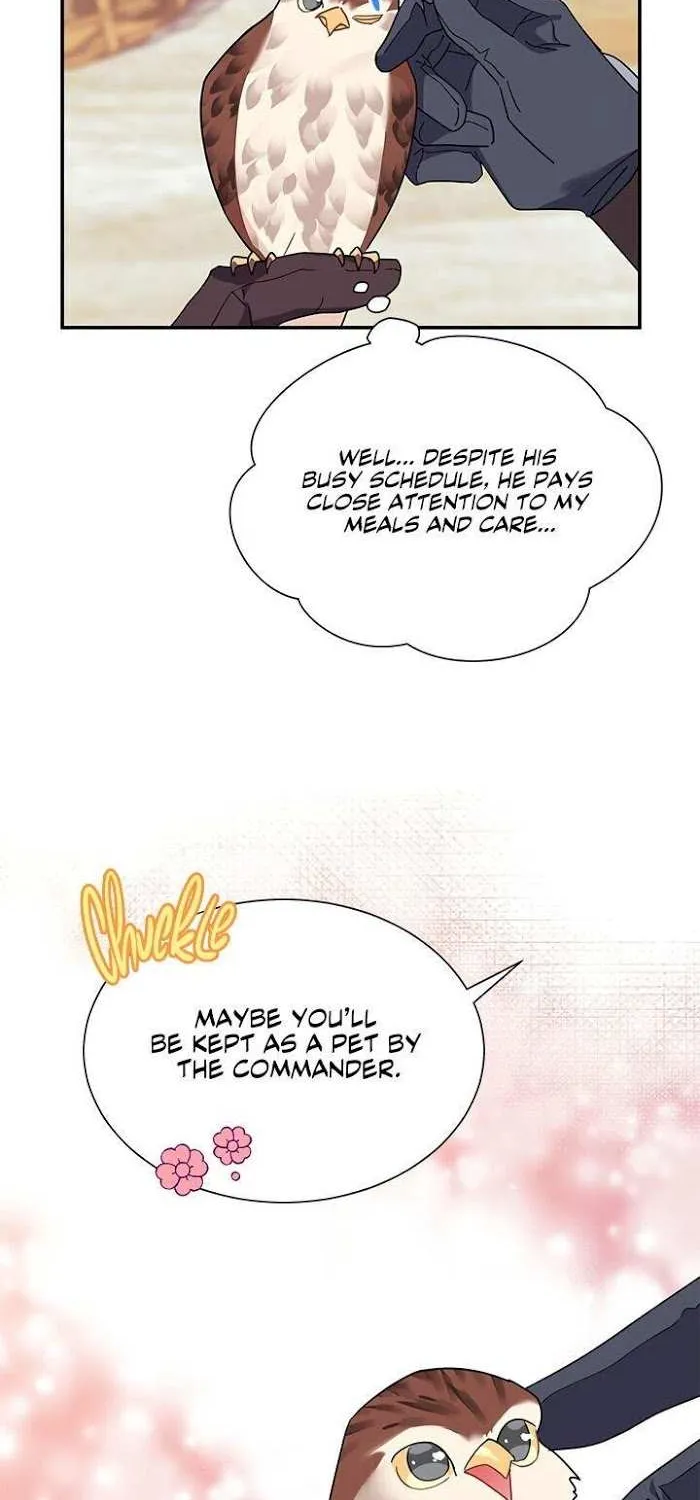 CARRIER FALCON PRINCESS Chapter 20 page 11 - 