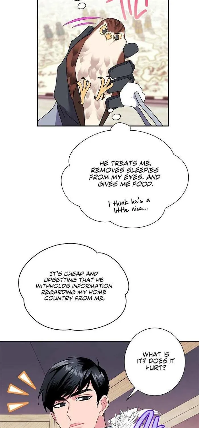 CARRIER FALCON PRINCESS Chapter 20 page 22 - 