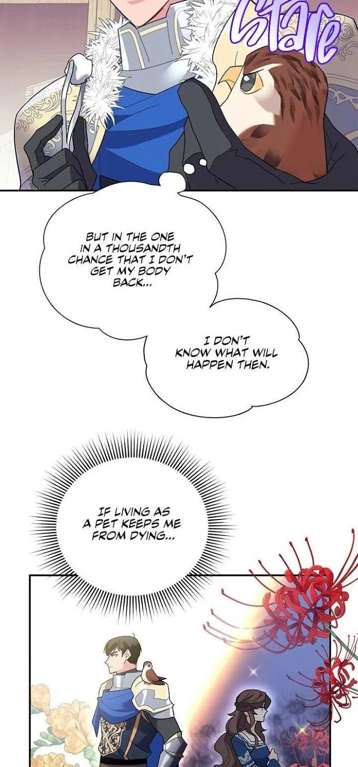 CARRIER FALCON PRINCESS Chapter 20 page 23 - 