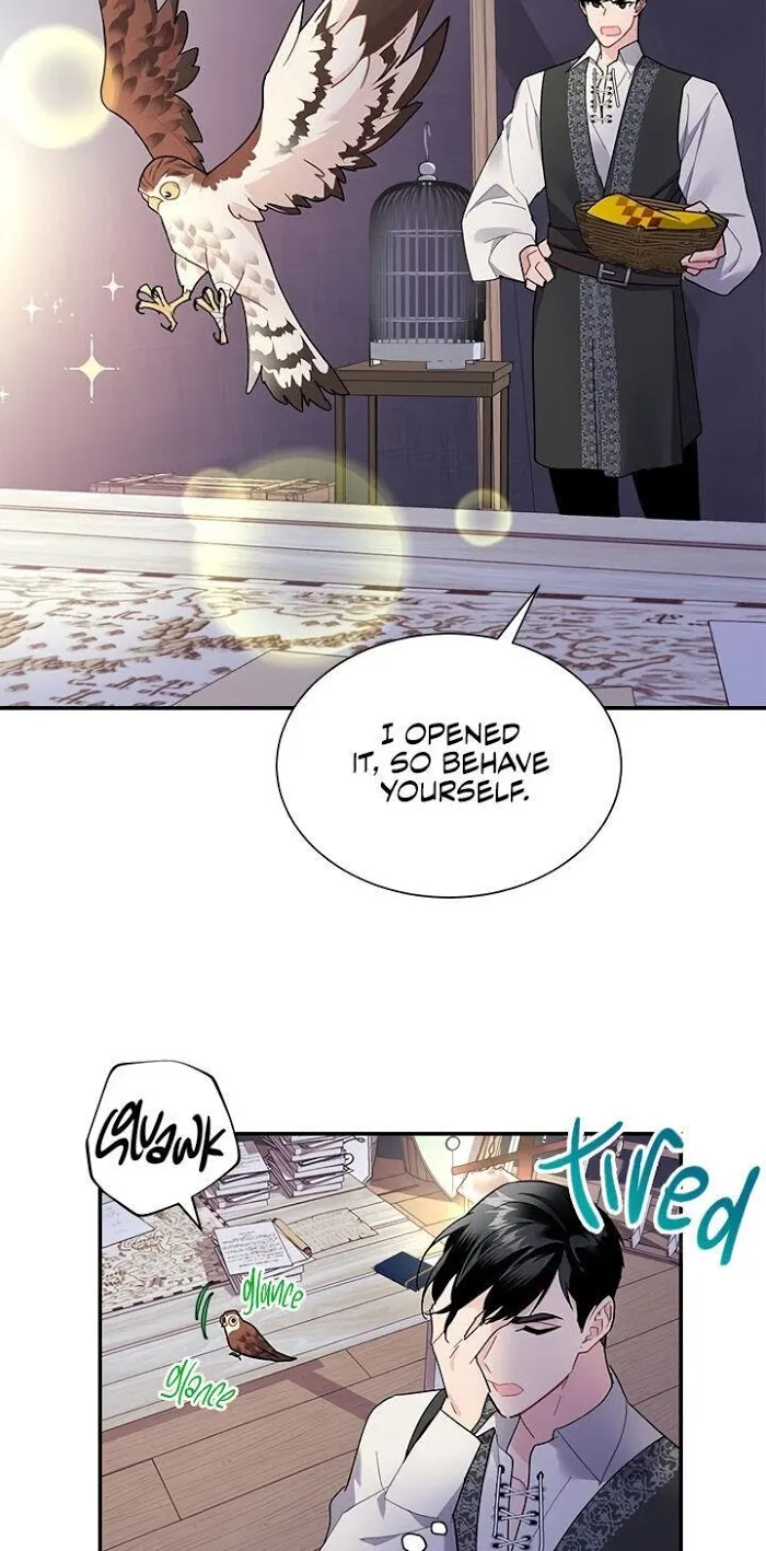CARRIER FALCON PRINCESS Chapter 21 page 4 - 