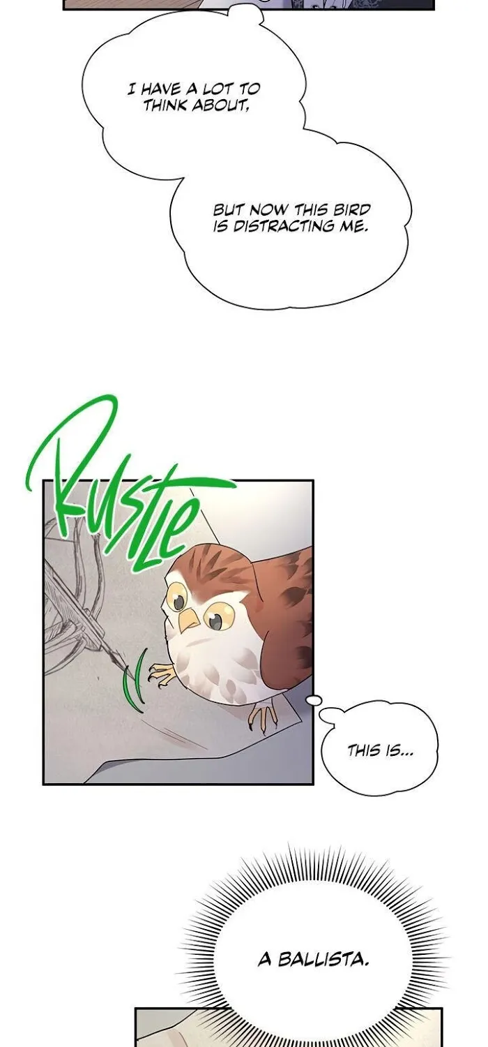 CARRIER FALCON PRINCESS Chapter 21 page 5 - 