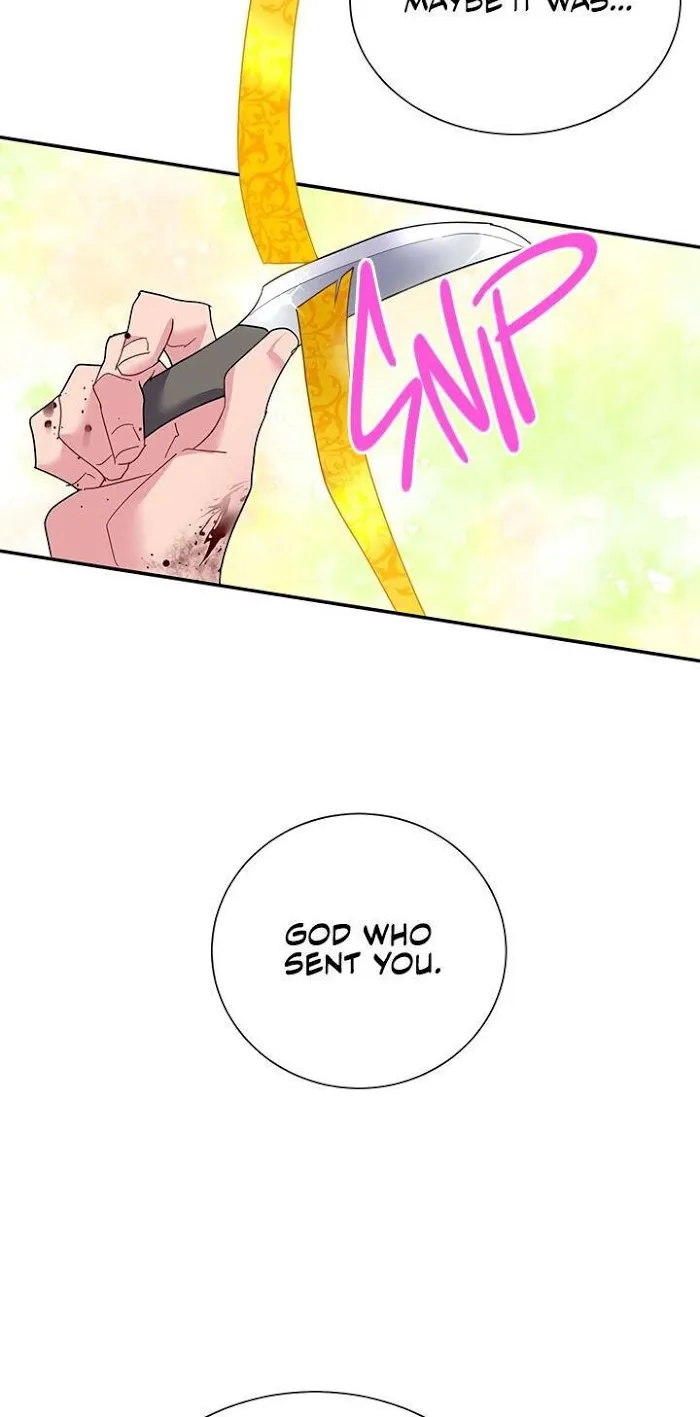 CARRIER FALCON PRINCESS Chapter 22 page 37 - 