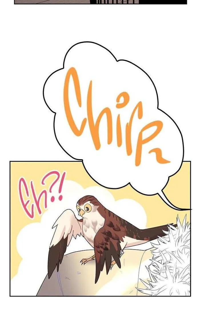 CARRIER FALCON PRINCESS Chapter 22 page 65 - 