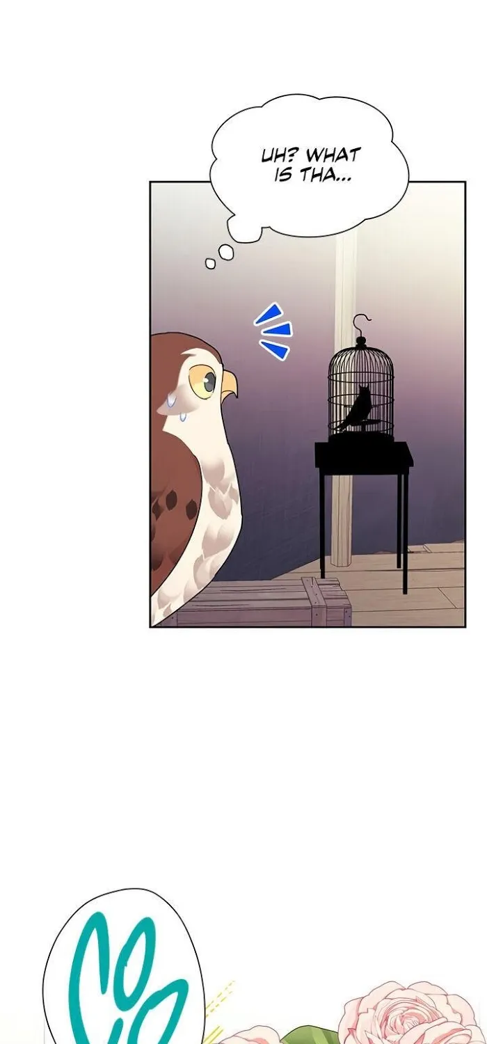 CARRIER FALCON PRINCESS Chapter 22 page 66 - 