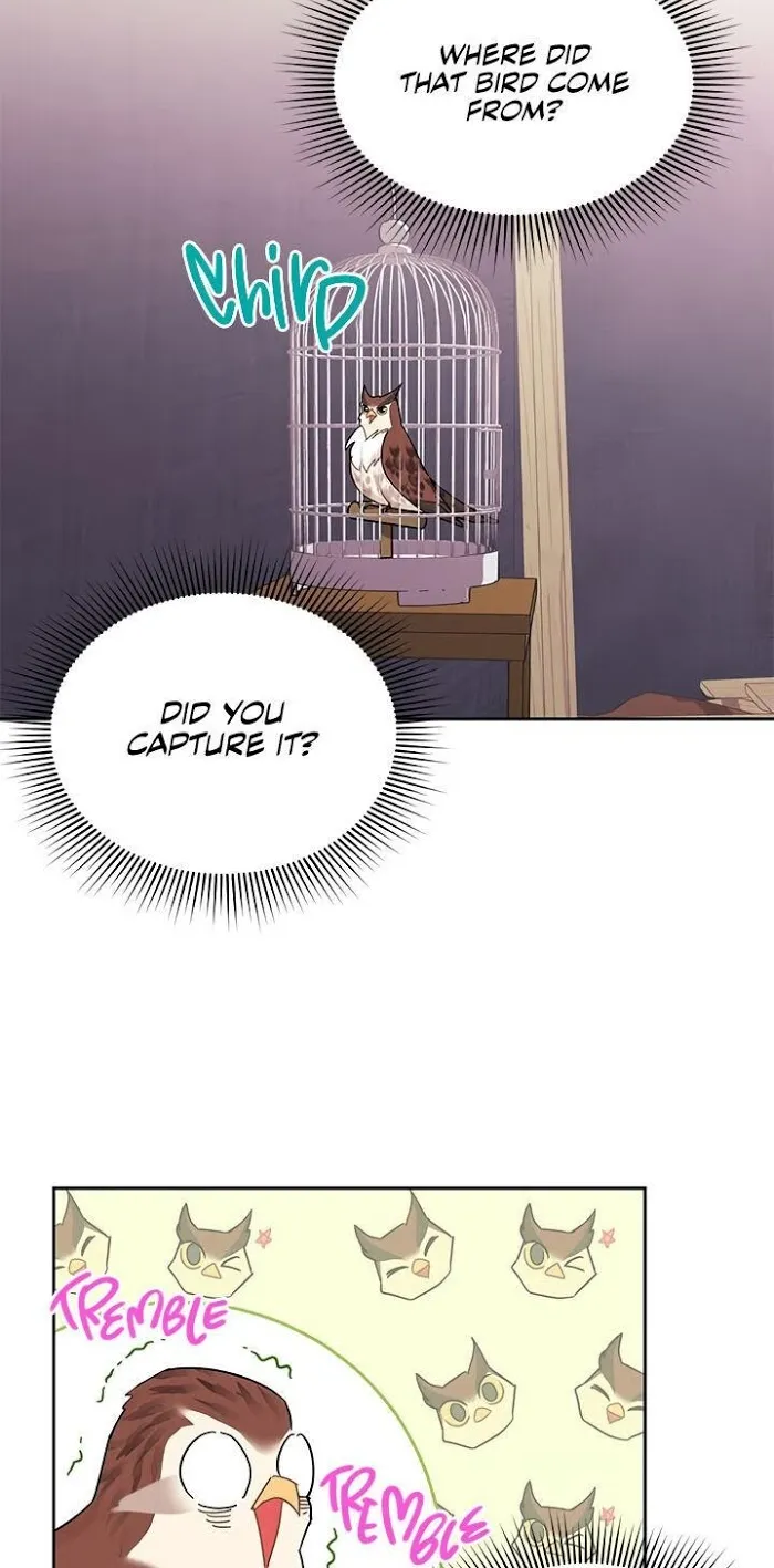 CARRIER FALCON PRINCESS Chapter 23 page 2 - 