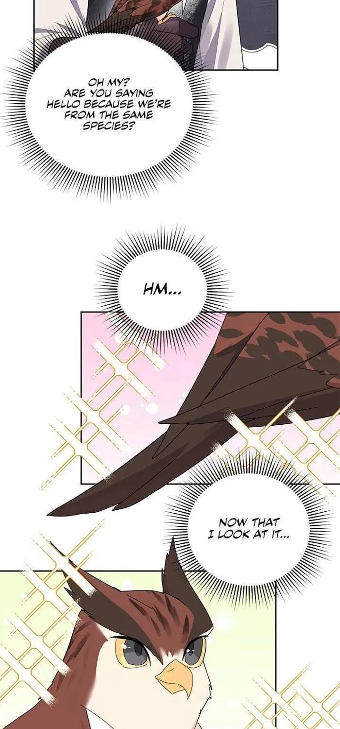 CARRIER FALCON PRINCESS Chapter 23 page 17 - 