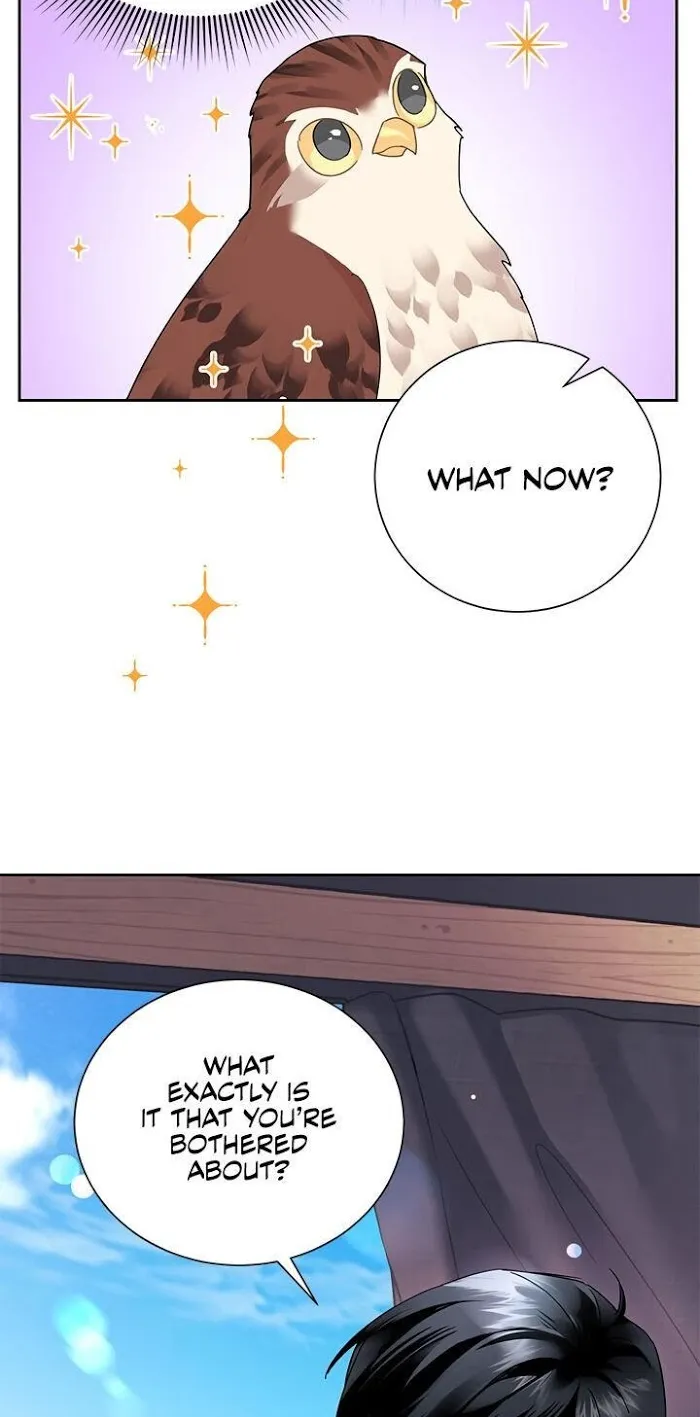 CARRIER FALCON PRINCESS Chapter 23 page 24 - 