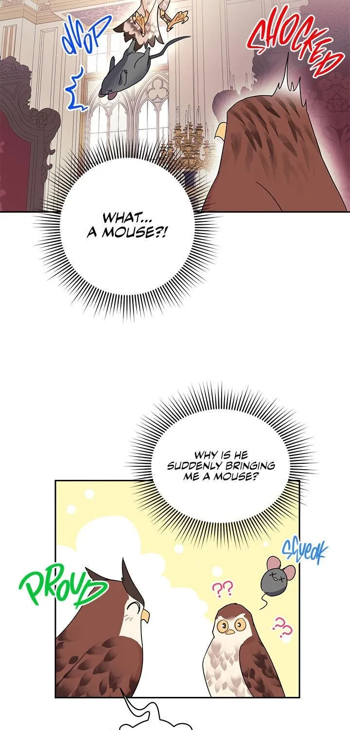 CARRIER FALCON PRINCESS Chapter 24 page 47 - 