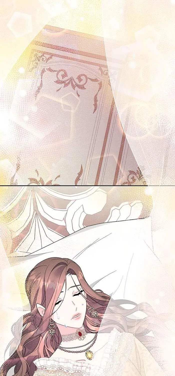 CARRIER FALCON PRINCESS Chapter 25 page 70 - 