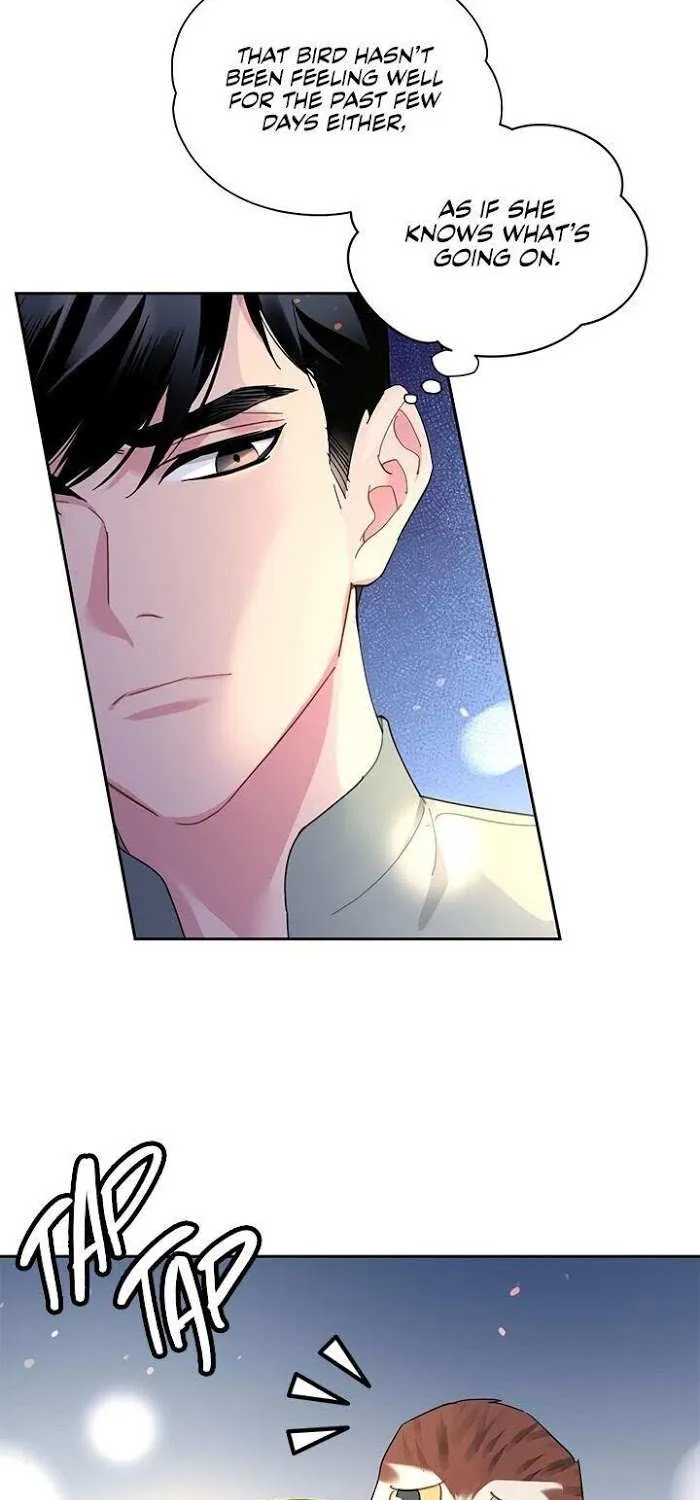 CARRIER FALCON PRINCESS Chapter 28 page 42 - 