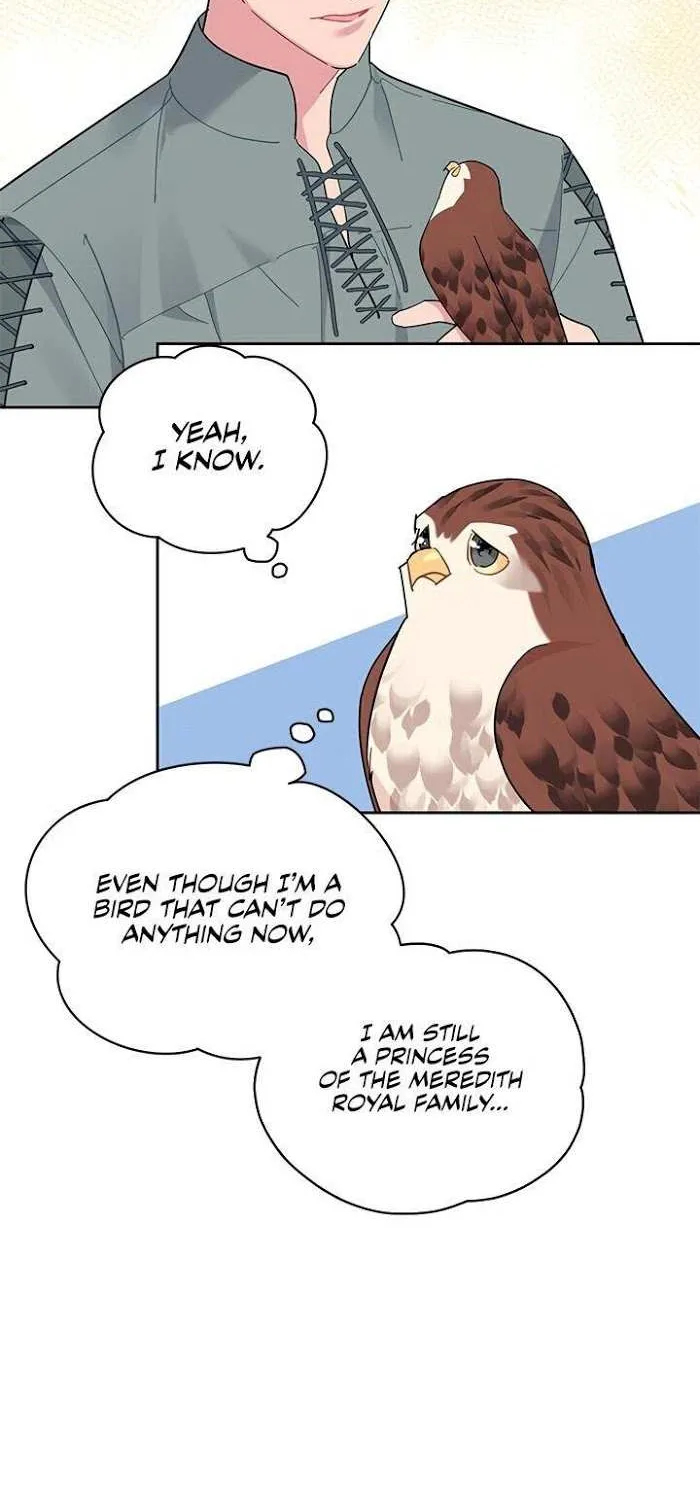 CARRIER FALCON PRINCESS Chapter 28 page 47 - 