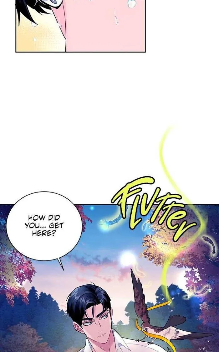 CARRIER FALCON PRINCESS Chapter 30 page 12 - 