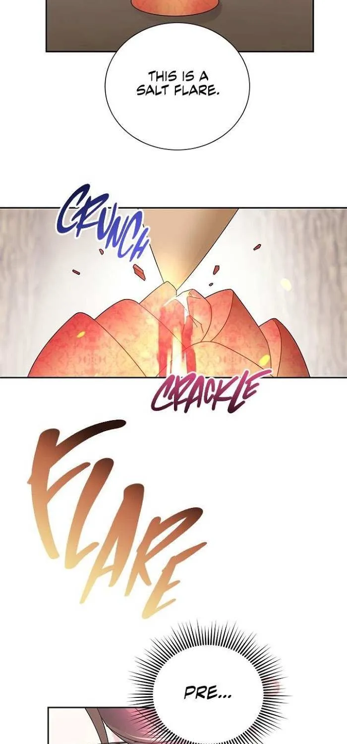 CARRIER FALCON PRINCESS Chapter 31 page 20 - 