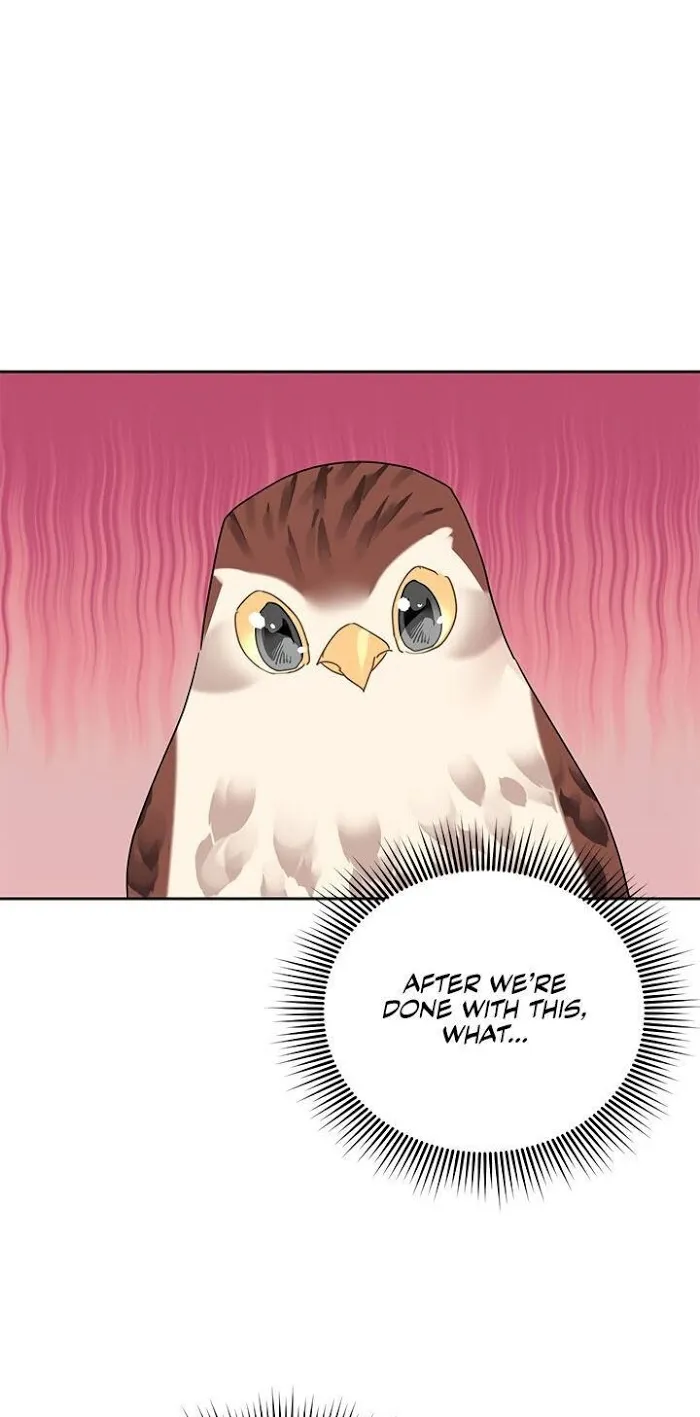 CARRIER FALCON PRINCESS Chapter 31 page 66 - 