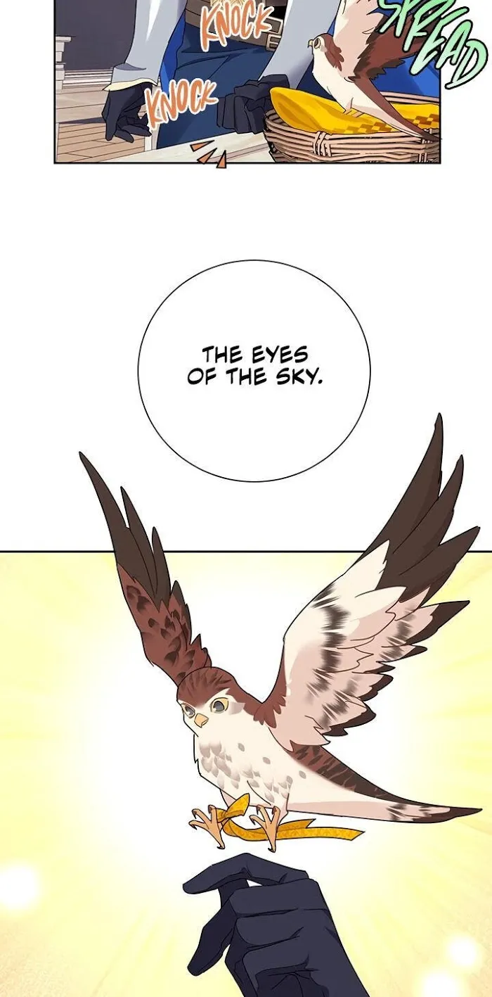 CARRIER FALCON PRINCESS Chapter 31 page 9 - 