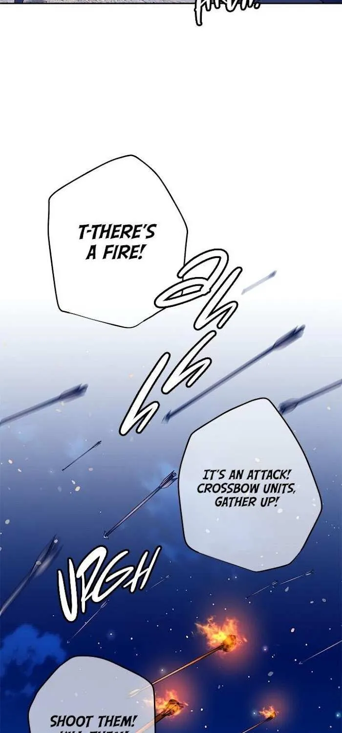 CARRIER FALCON PRINCESS Chapter 32 page 29 - 