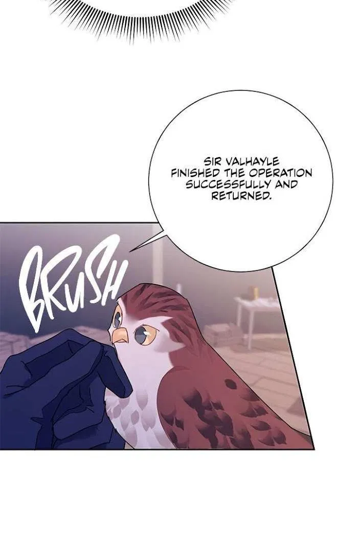 CARRIER FALCON PRINCESS Chapter 33 page 49 - 