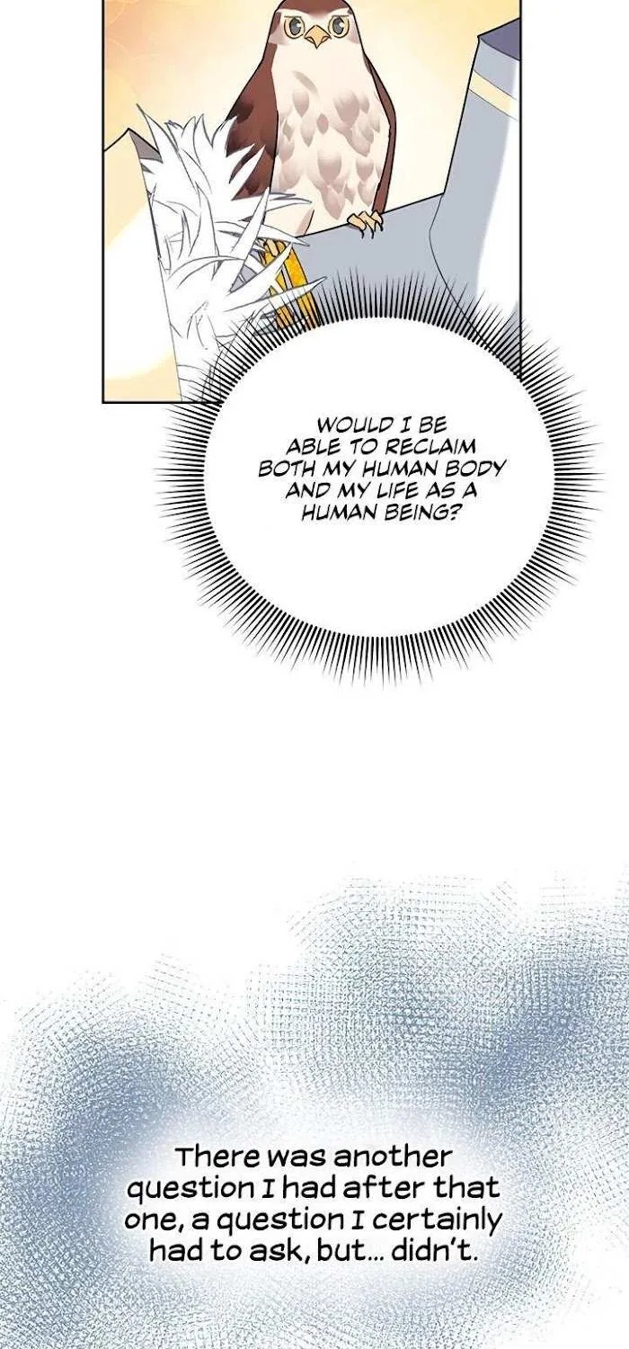 CARRIER FALCON PRINCESS Chapter 34 page 57 - 
