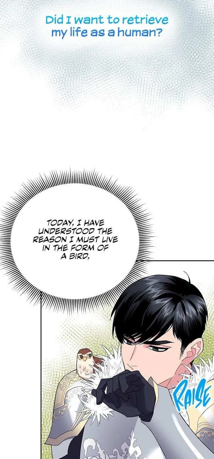 CARRIER FALCON PRINCESS Chapter 34 page 59 - 