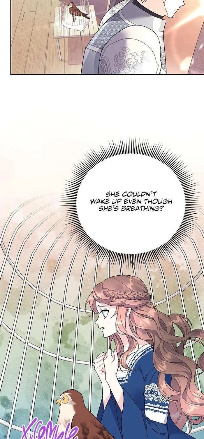 CARRIER FALCON PRINCESS Chapter 35 page 33 - 