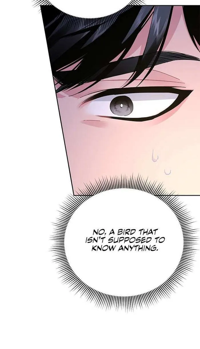CARRIER FALCON PRINCESS Chapter 37 page 11 - 